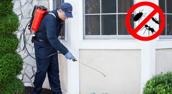 Eskipazar Tahtakurusu İlaçlama böcek ilaçlama ve haşere kontrolü — ilaclama-tr.com